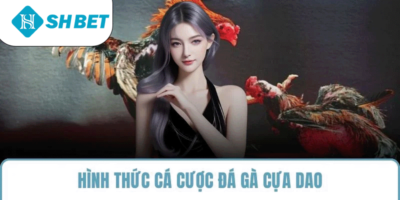 Hình thức cá cược đá gà cựa dao