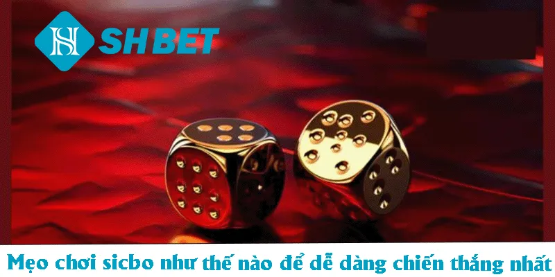 Mẹo chơi sicbo như thế nào để dễ dàng chiến thắng nhất