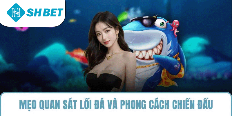 Mẹo quan sát lối đá và phong cách chiến đấu